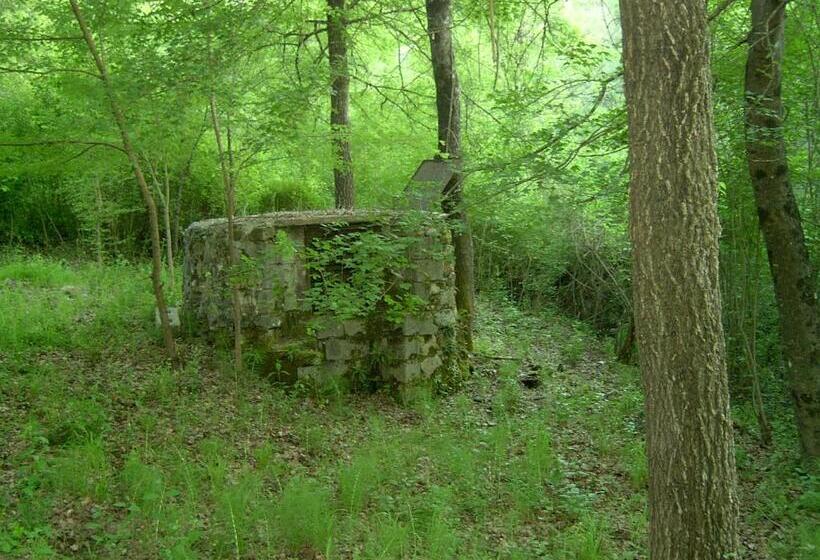 בית מלון כפרי Agriturismo Le Cammarose