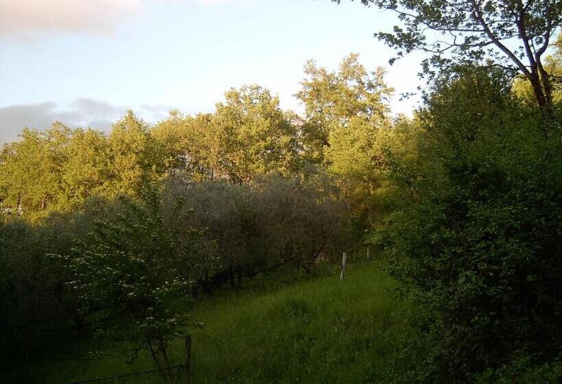 교외 호텔 Agriturismo Le Cammarose