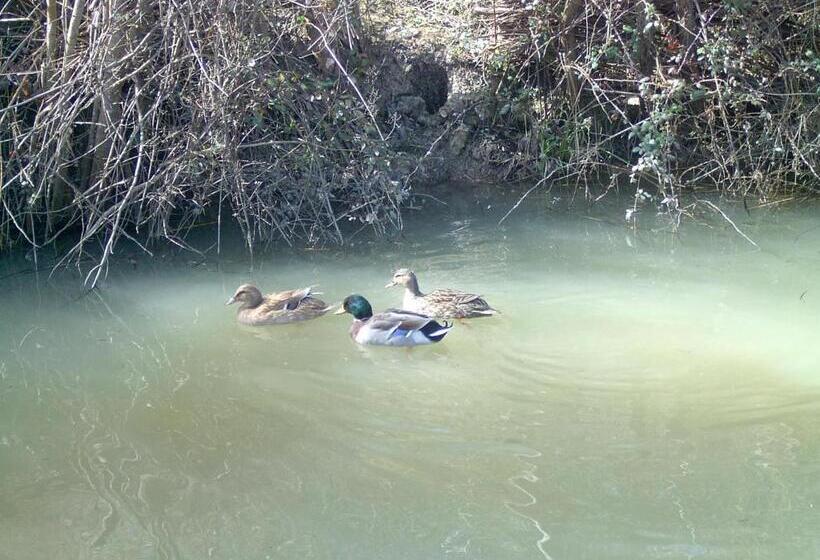 בית מלון כפרי Agriturismo Le Cammarose