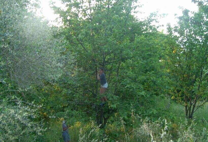 בית מלון כפרי Agriturismo Le Cammarose