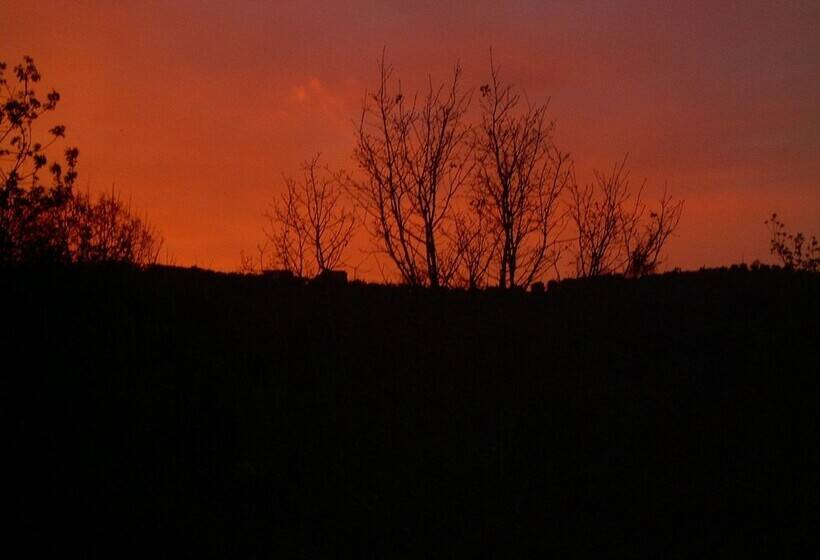 בית מלון כפרי Agriturismo Le Cammarose