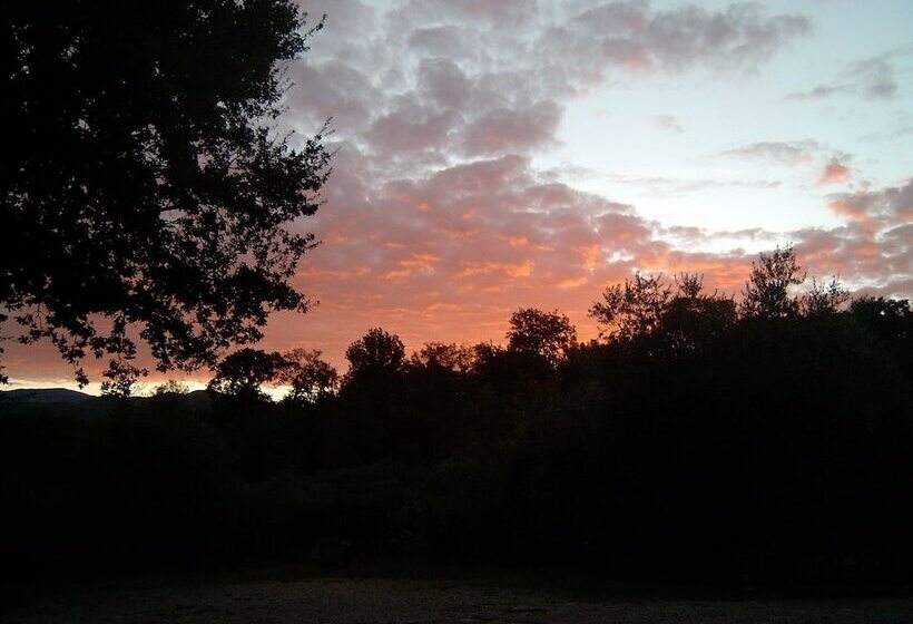 בית מלון כפרי Agriturismo Le Cammarose