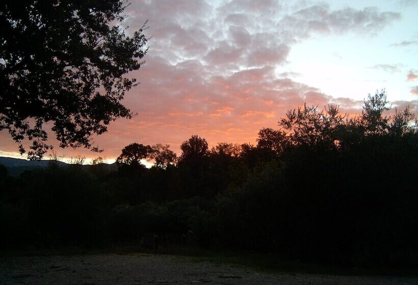 בית מלון כפרי Agriturismo Le Cammarose