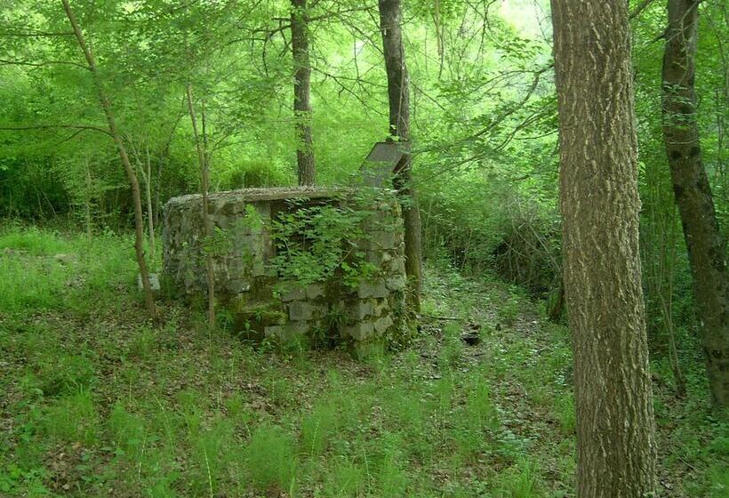 בית מלון כפרי Agriturismo Le Cammarose