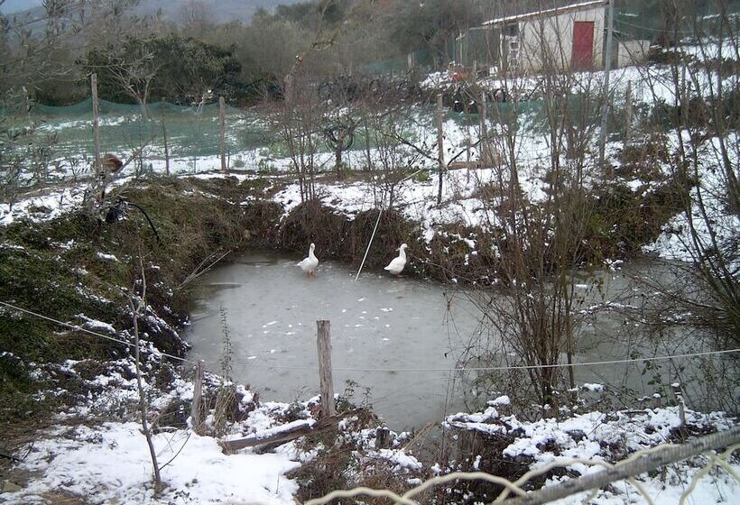 בית מלון כפרי Agriturismo Le Cammarose
