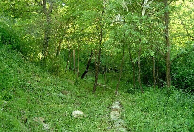 田舎風ホテル Agriturismo Le Cammarose
