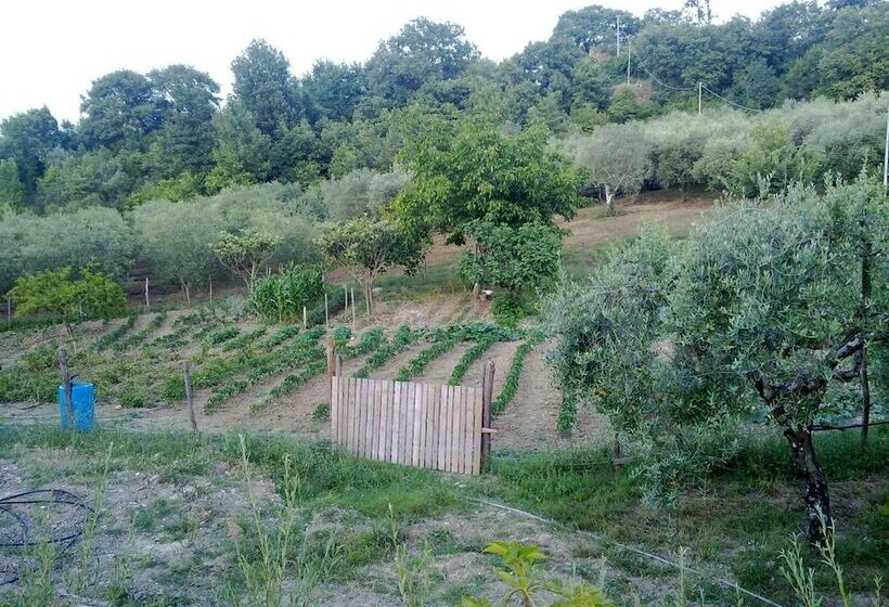 Сельский отель Agriturismo Le Cammarose