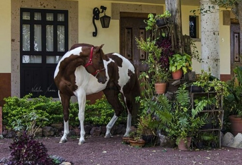 田舎風ホテル Chalet De Colombo