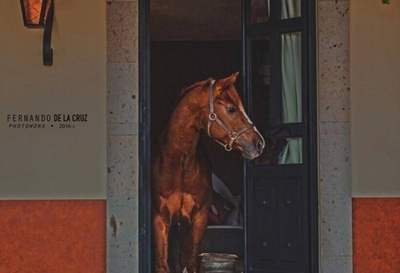 فندق ريفى Chalet De Colombo