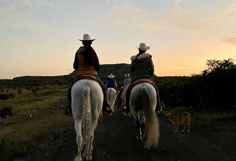 فندق ريفى Chalet De Colombo