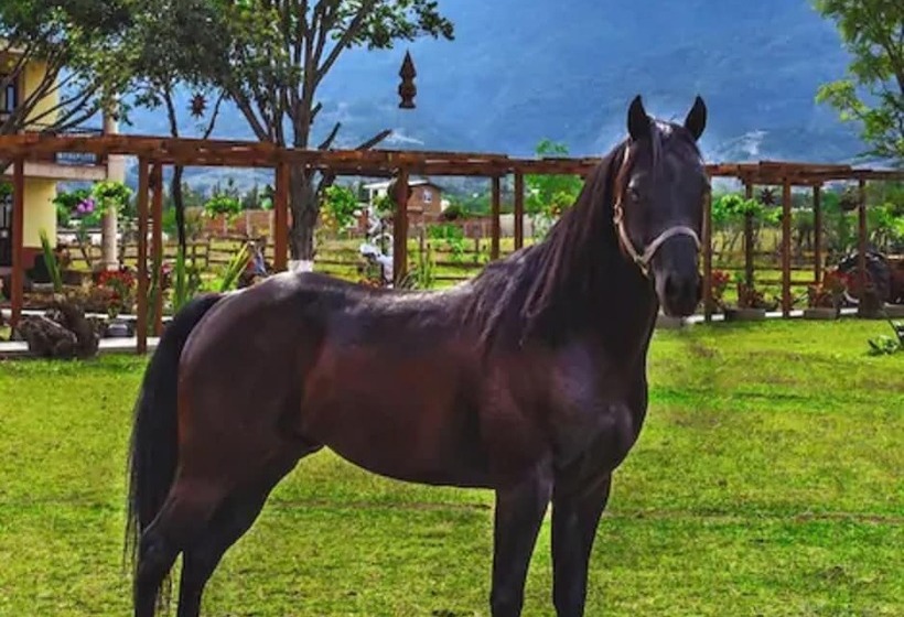 田舎風ホテル Chalet De Colombo