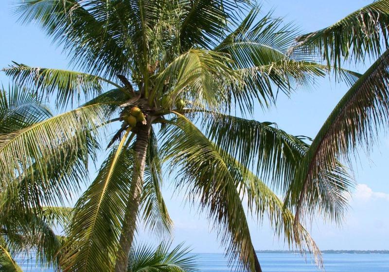 ホテル Sandingan Island Resort