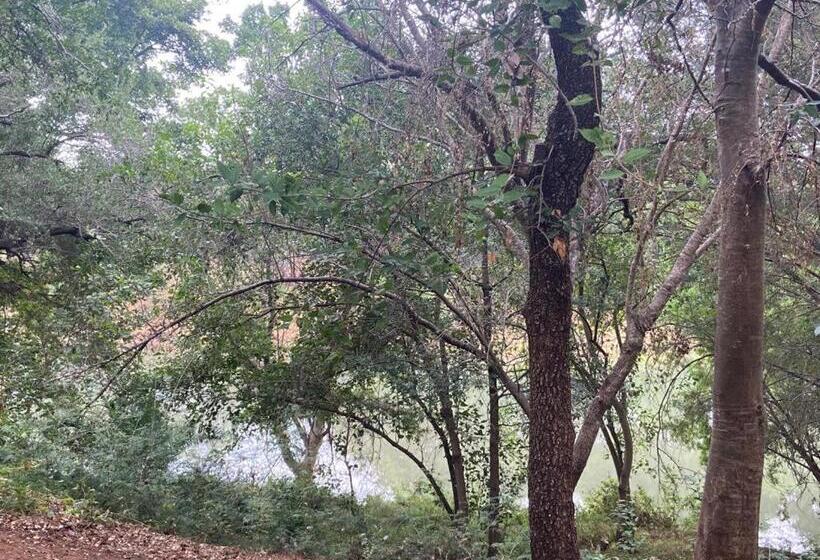 فندق Selati River Ruins