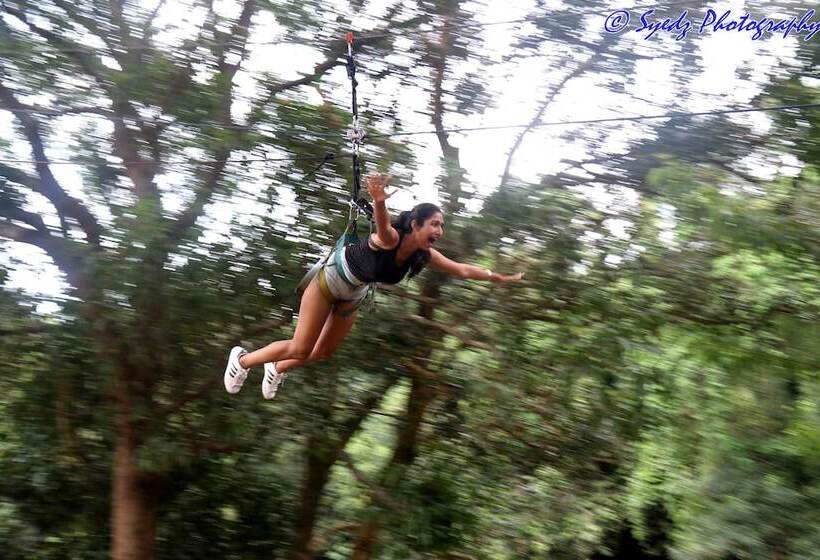 酒店 Shangri La Jungle Resort