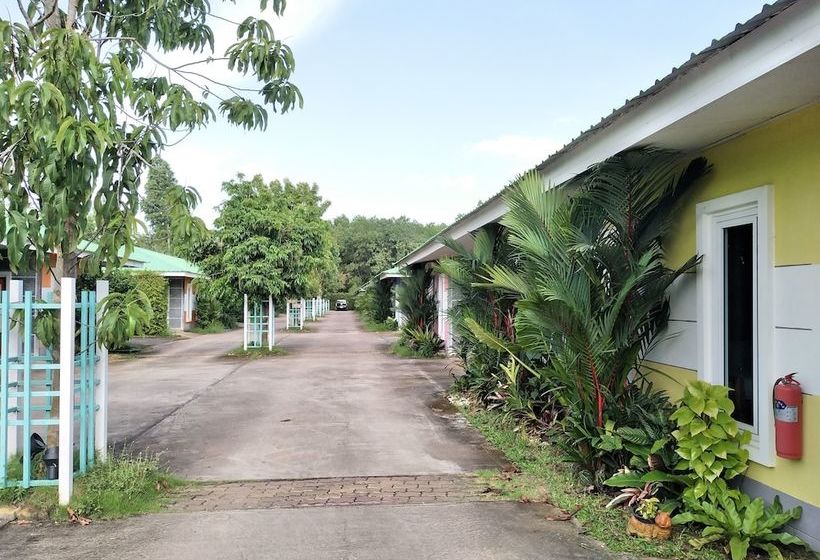 Отель The Colour