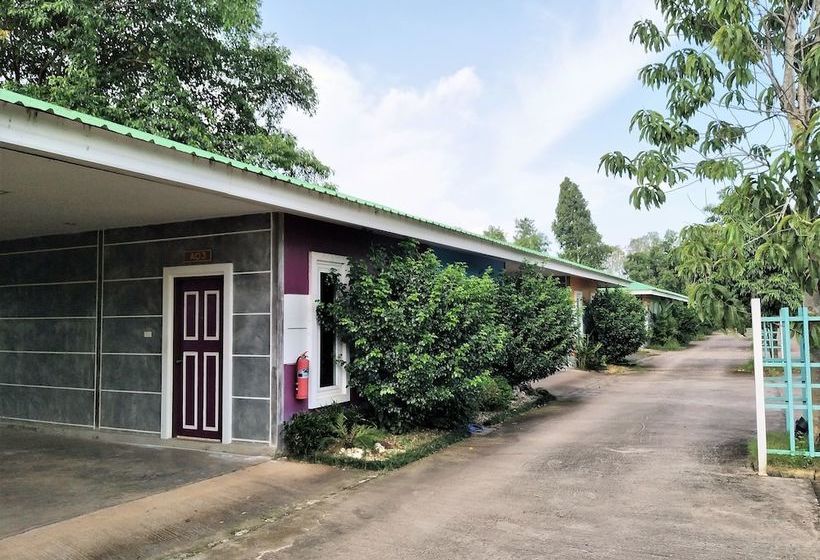 Отель The Colour