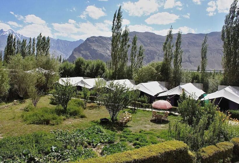 בית מלון כפרי Tiger Camp