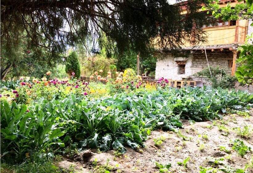 בית מלון כפרי Tih Lharje Resort   Nubra