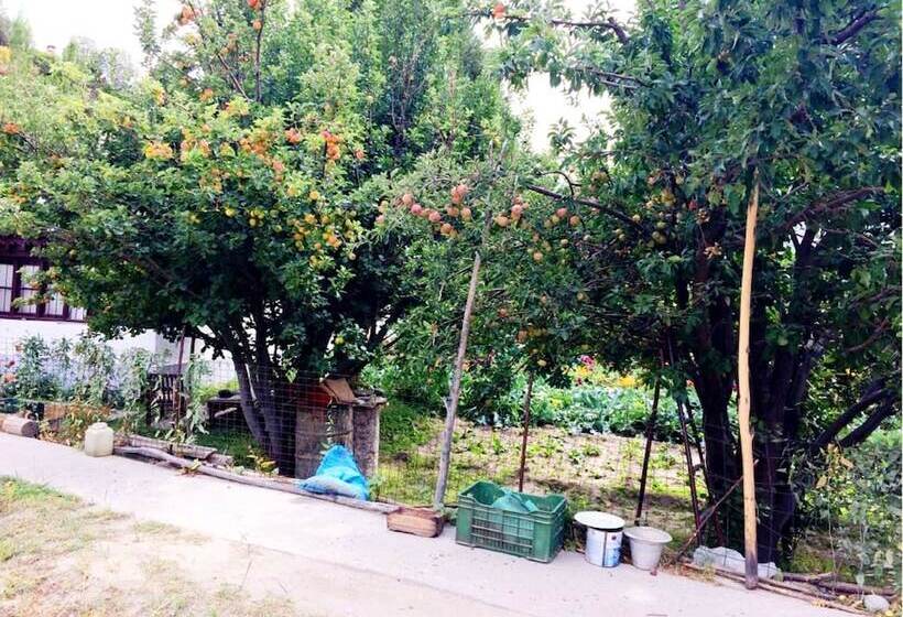 فندق Tih Lharje Resort   Nubra