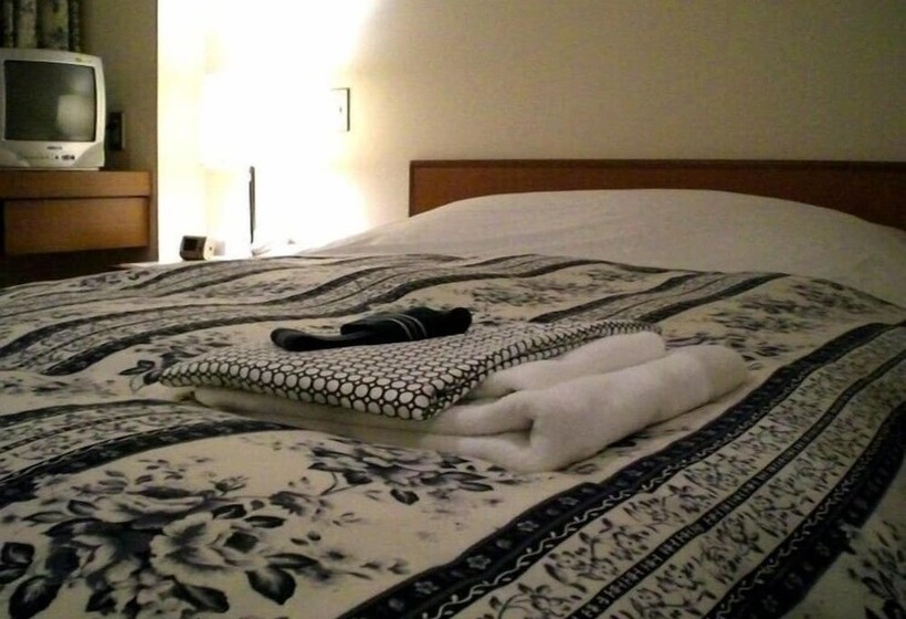 בית מלון כפרי Togane Hills