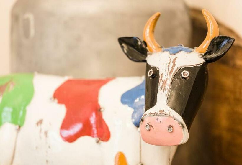 Отель Wuschl Lounge