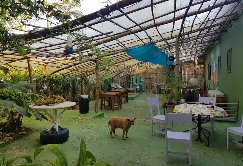Jureia Hostel