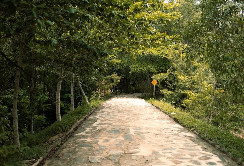 Kirirom Hillside Resort