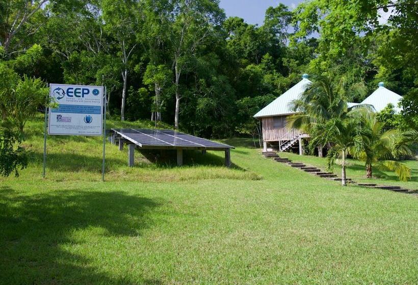 La Milpa Lodge   Hostel