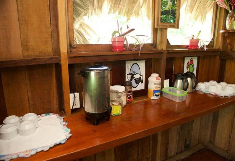 La Milpa Lodge   Hostel