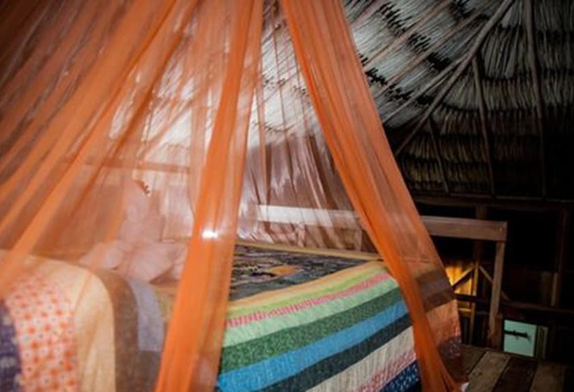 La Milpa Lodge   Hostel