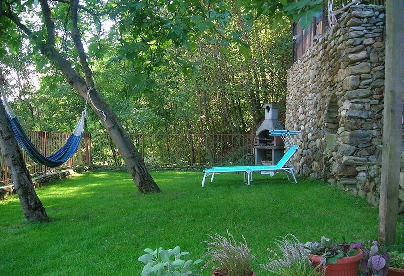 פנסיון Al Carotin