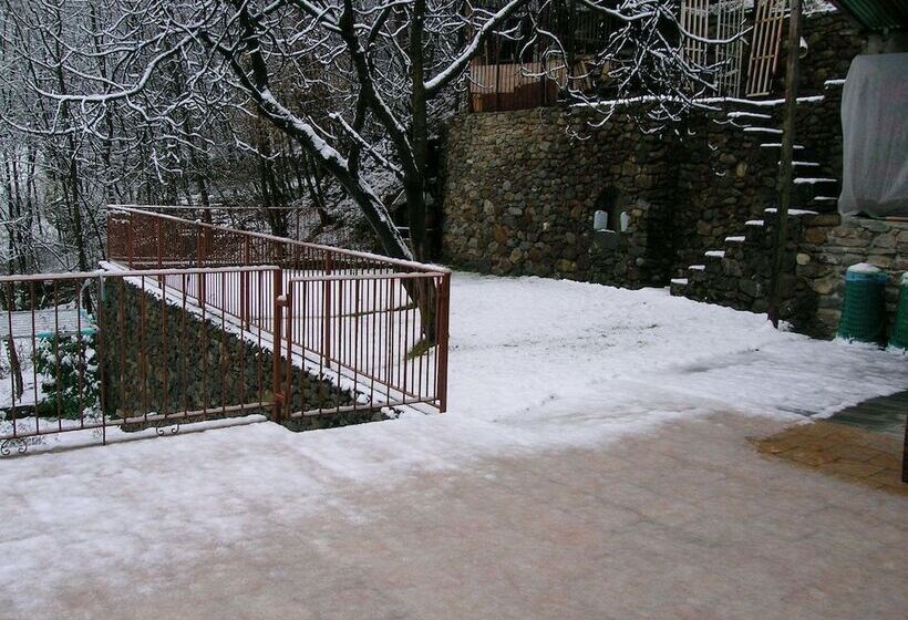 פנסיון Al Carotin