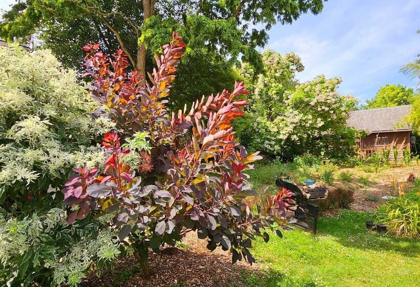 펜션 Au Refuge Des 3 Ours   Chambres D Hôtes Et Cabanes