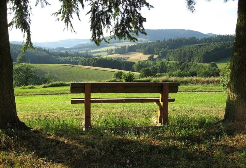 Пансион Aux 3 Sapins