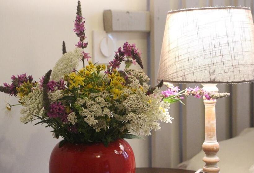 بنسيون Chambres Aux Bonnes Herbes