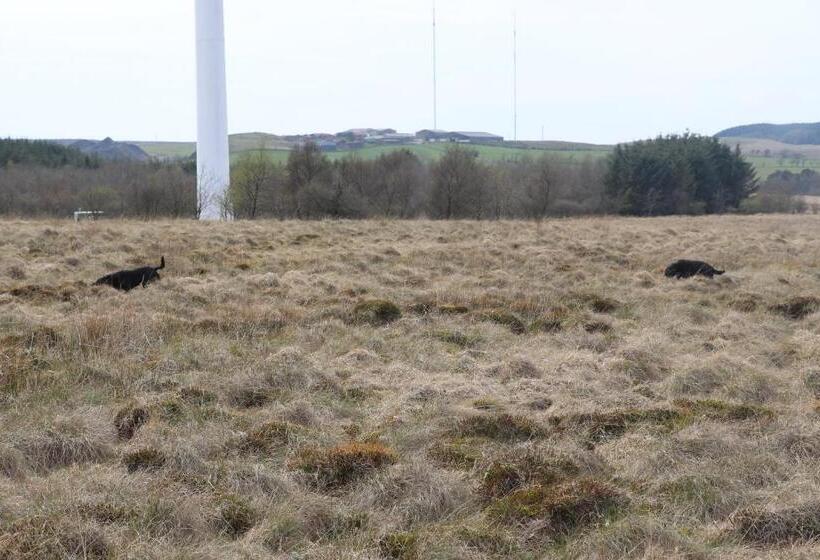 بنسيون Blairmains Guest House