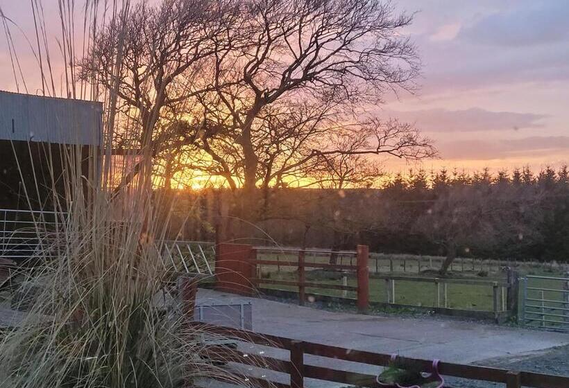 بنسيون Blairmains Guest House