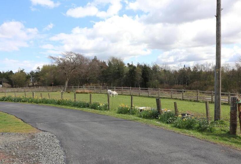 بنسيون Blairmains Guest House