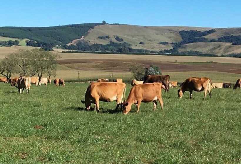 פנסיון Chilled Oaks