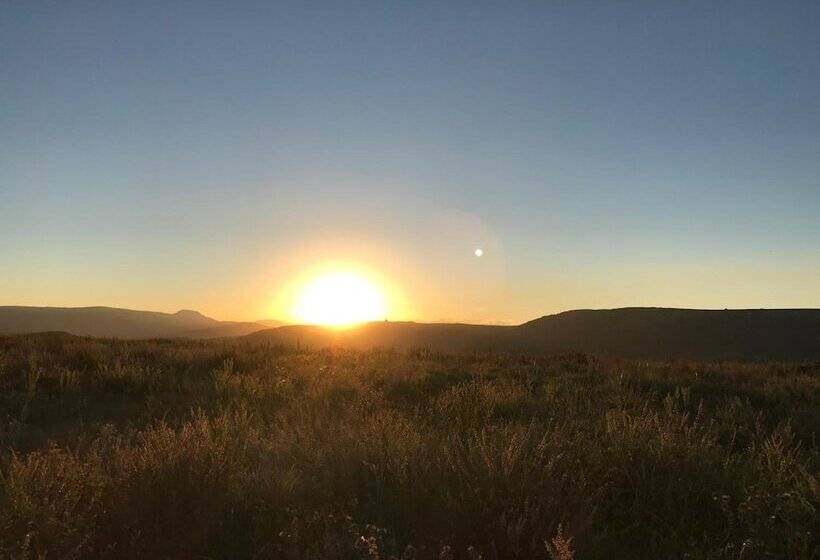 פנסיון Chilled Oaks