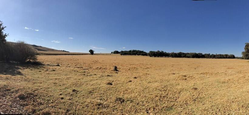 פנסיון Chilled Oaks