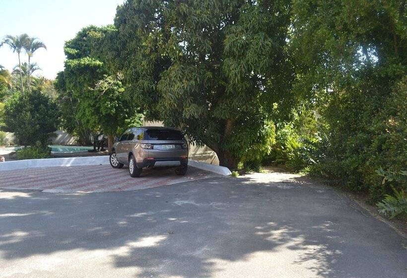 ペンション Cycad Lodge