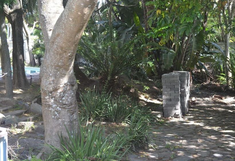 ペンション Cycad Lodge