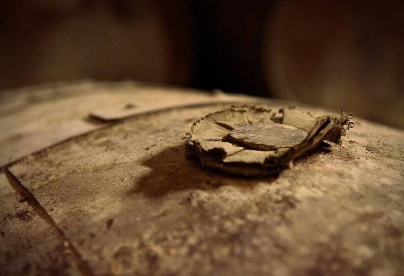 Пансион Domaine D' Arcalis