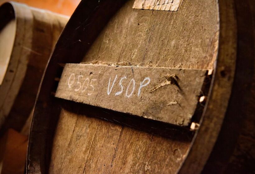 Пансион Domaine D' Arcalis