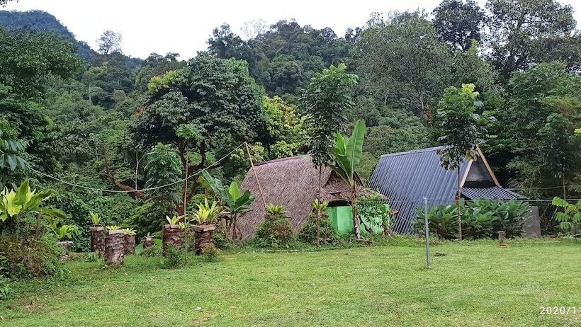 بنسيون Green Forest Tangkahan