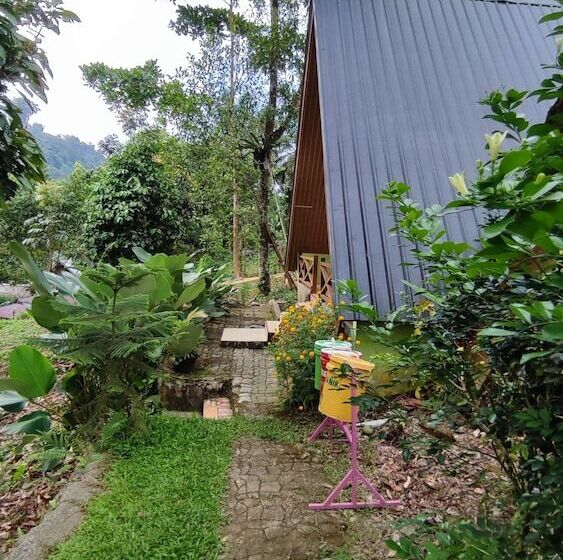 بنسيون Green Forest Tangkahan