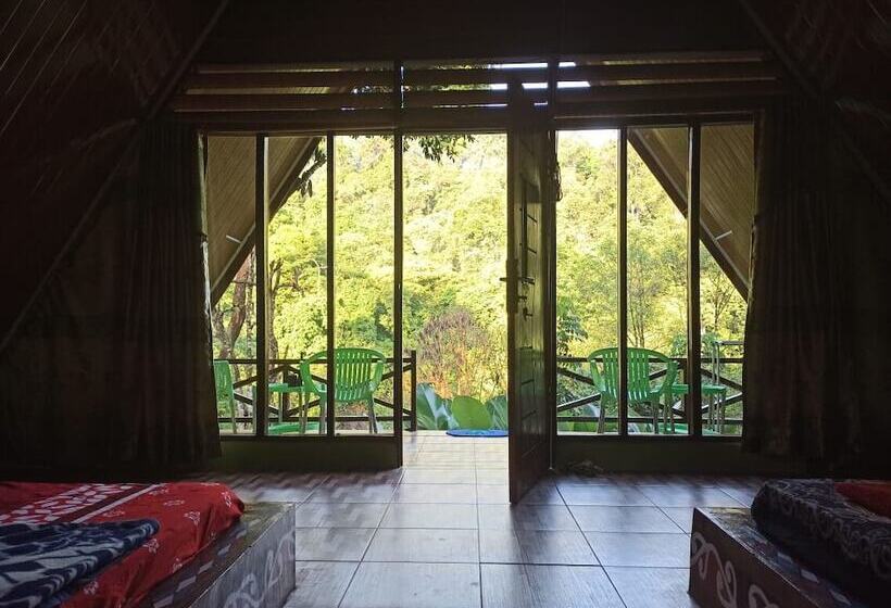 بنسيون Green Forest Tangkahan