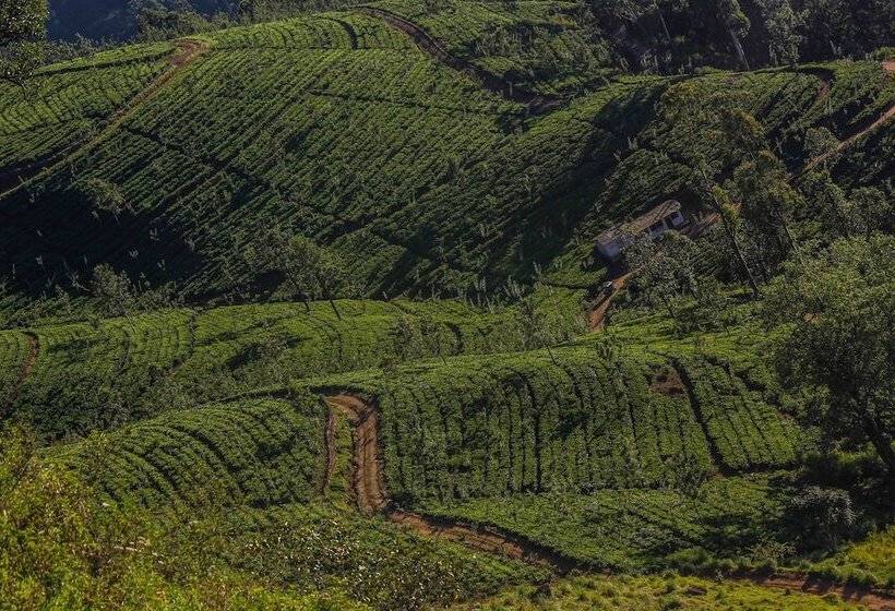 Пансион Hatale Mini Worlds End Bungalow