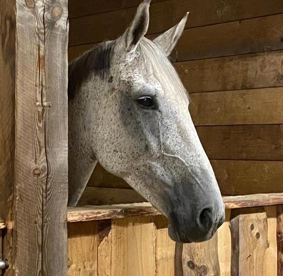 بنسيون J A Ranch Bed & Breakfast